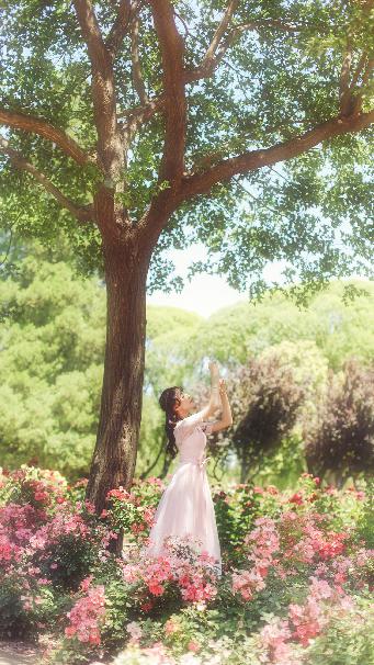 欧美电影免费观看完整版在线观看熊出没