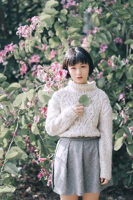 看片免费的网站